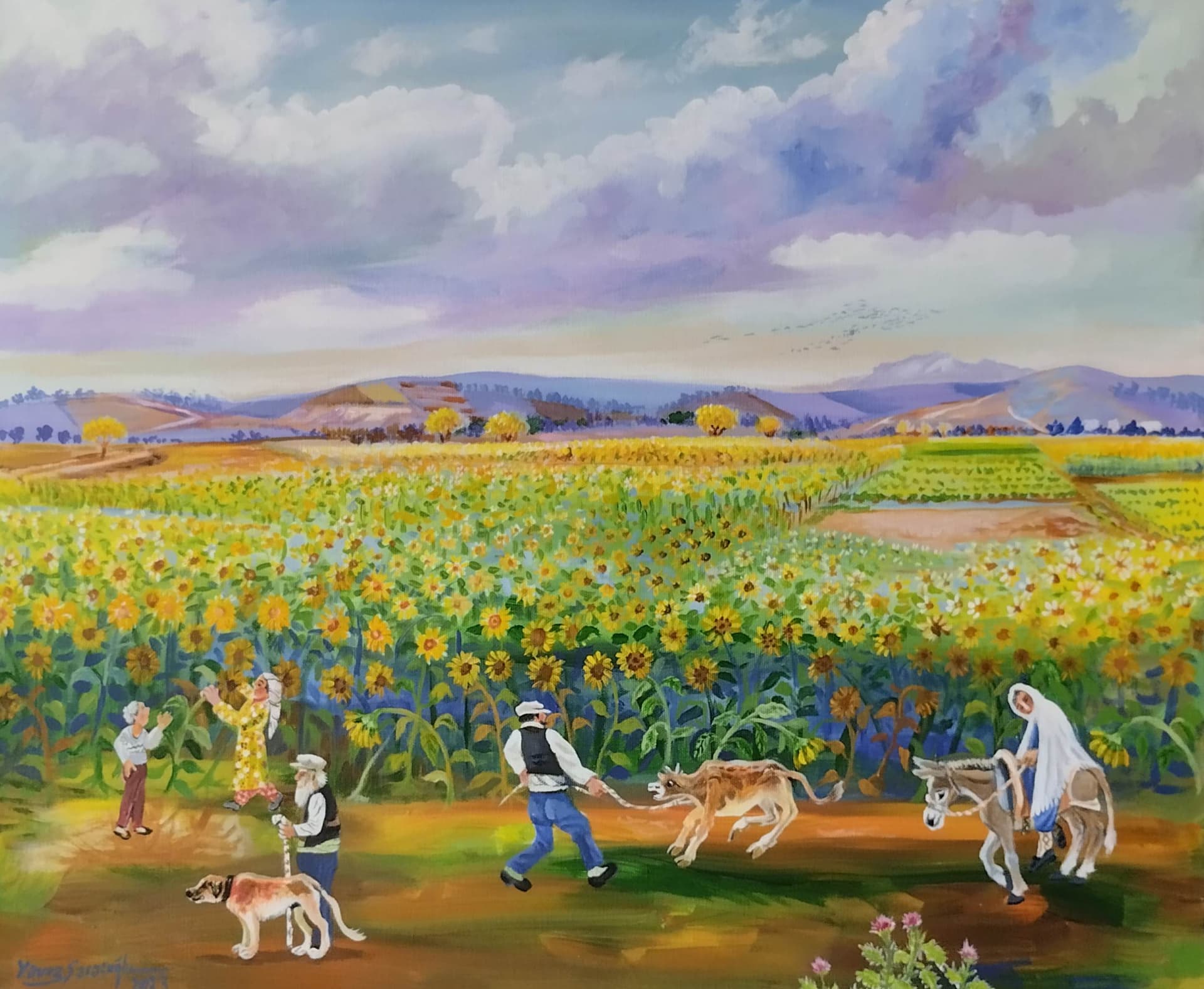 Aycicekleri  - Görsel 1