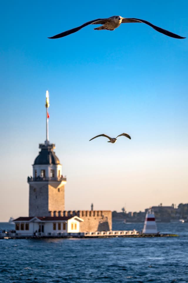 Ardımdaki Güzellik