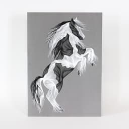 Şah - Görsel 1